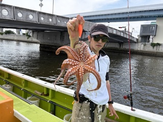 タコ