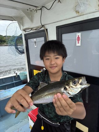 マアジ