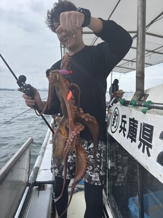 マダコ