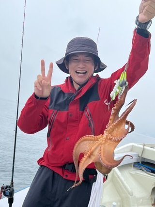 マダコ