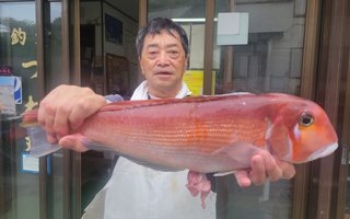 イトヨリ