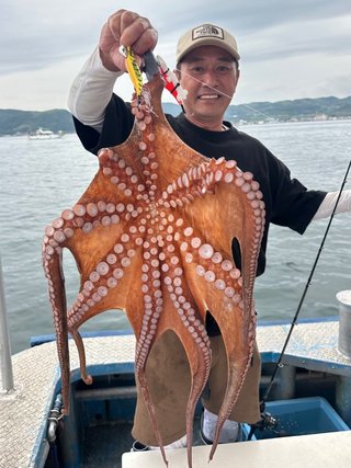 タコ