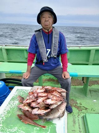 カサゴ