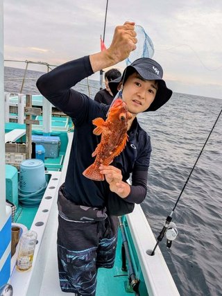 ウッカリカサゴ