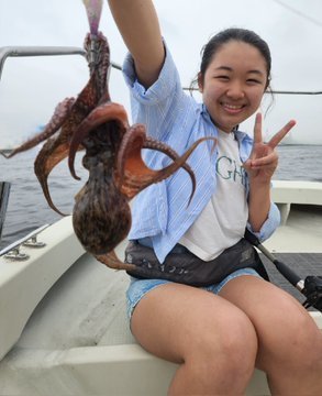 タコ