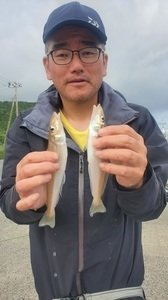 シロギス