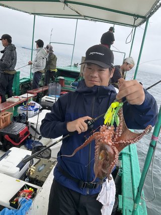マダコ