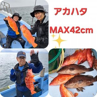 アカハタ