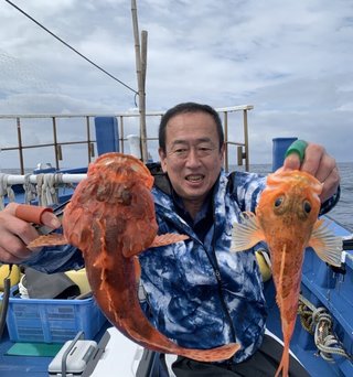 メダイ
