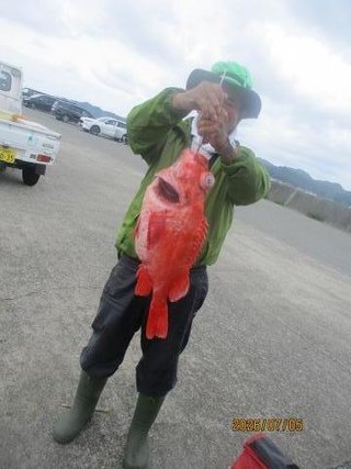 アコウダイ