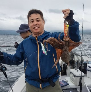 マダコ