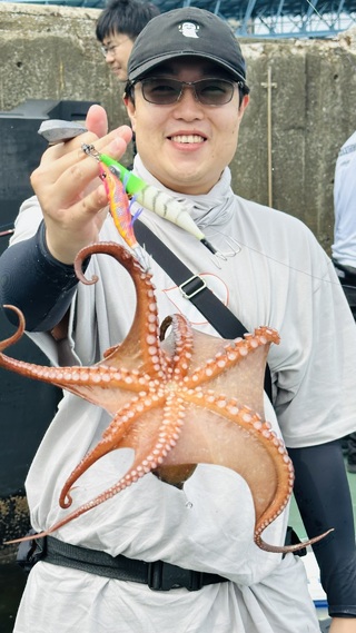 タコ