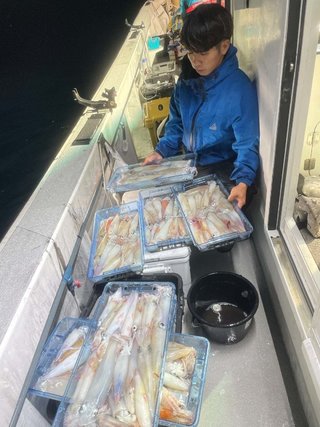 ヤリイカ