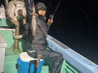 ヤリイカ