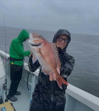 マダイ