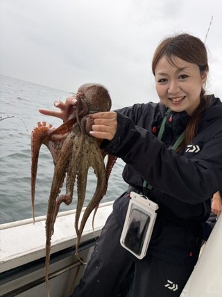 タコ