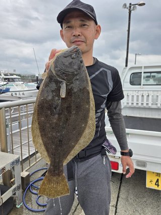 ヒラメ