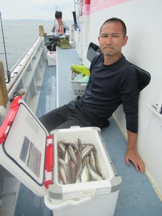 シロギス