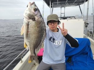 シーバス