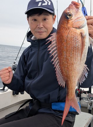 マダイ