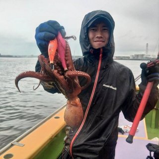 マダコ