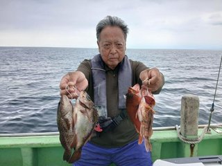 カサゴ