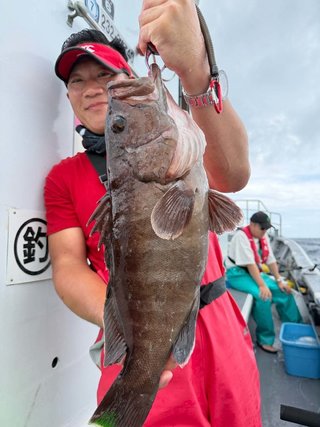 マハタ