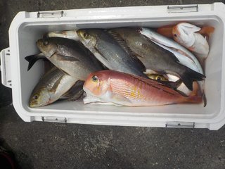 アマダイ