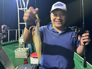 スルメイカ