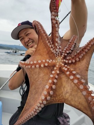 タコ
