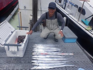 タチ