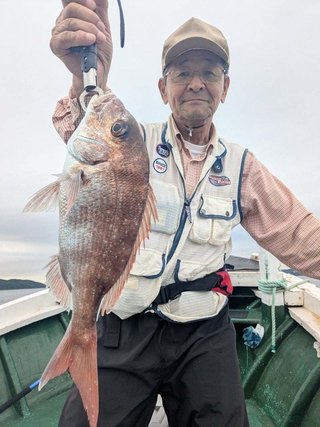 マダイ