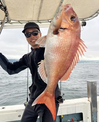 マダイ