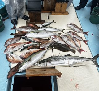 サワラ