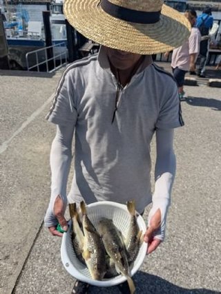 ショウサイフグ