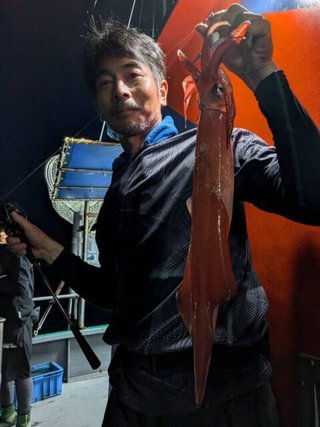 ヤリイカ