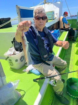 シロギス