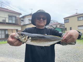 アジ