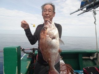 マダイ