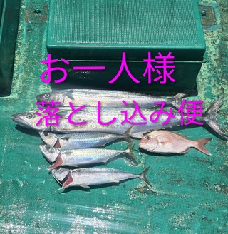 サワラ