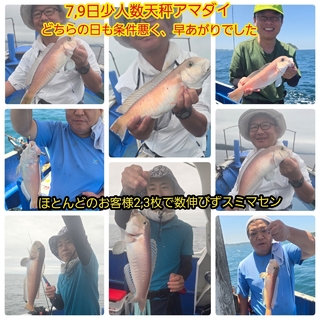 シロアマダイ