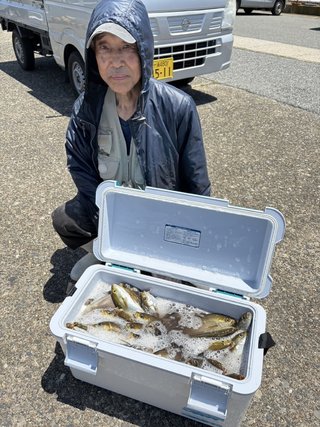 アジ