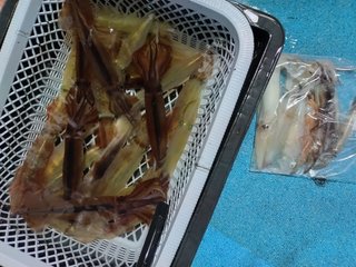 イカ