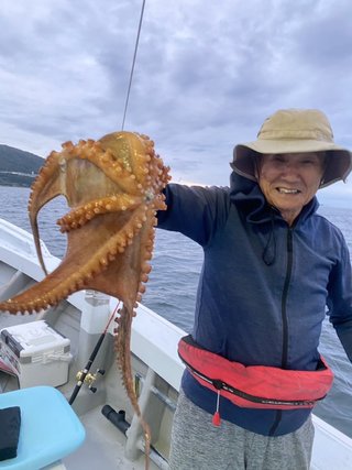 タコ