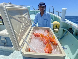 カサゴ
