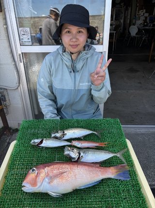 アジ