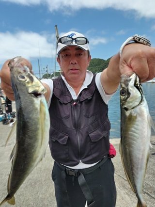 アジ