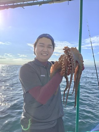 マダコ