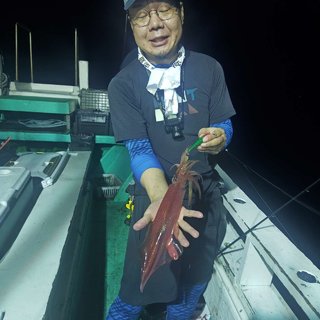 シロイカ