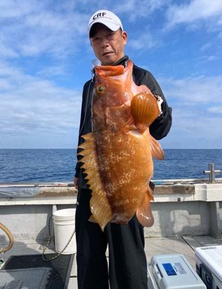 マハタ